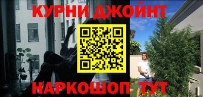 кокс Гатчина