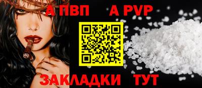кокс Гатчина