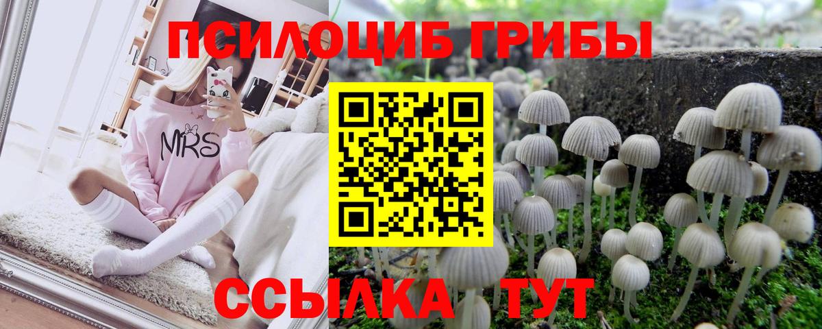 Гай  Галлюциногенные грибы мухоморы  купить   Вход с VPN 