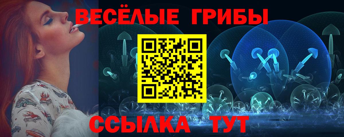 Псилоцибиновые грибы прущие грибы Гай