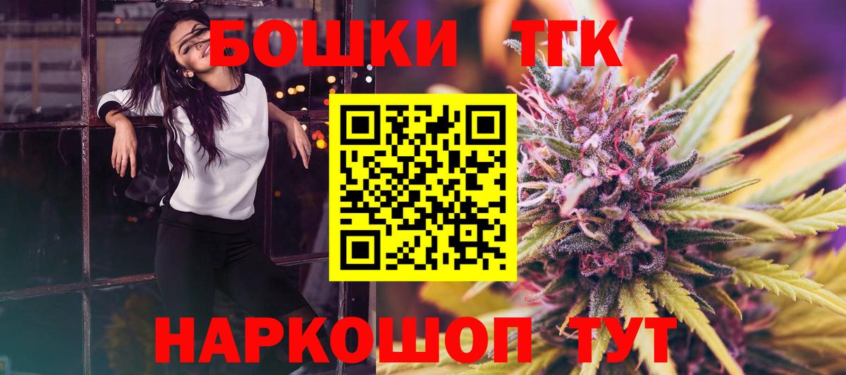 Канабис сатива Гай